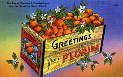 Florida Post Card 1